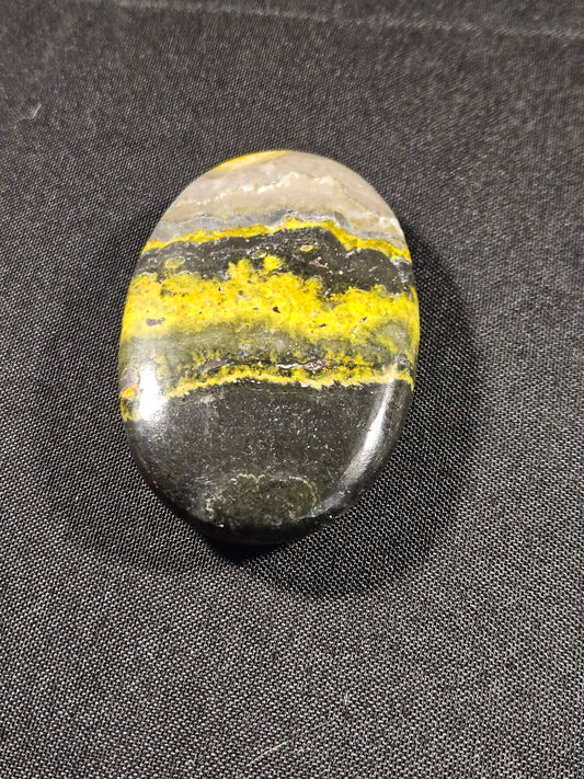 Bumblebee Jasper Palm